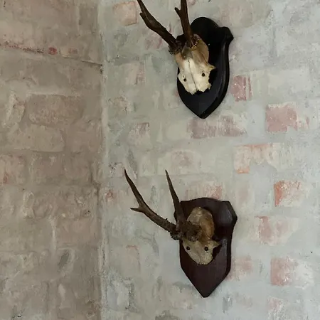 I Skon Prázdninový dům Stenstrup