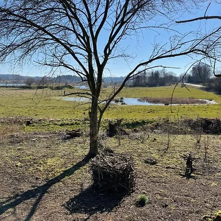 I Skon Prázdninový dům *