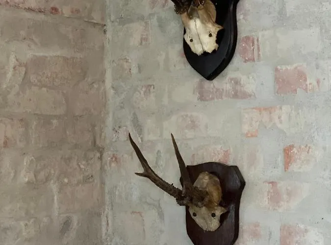 I Skon Nyaraló Stenstrup